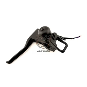 C0024600003GL (2).webp